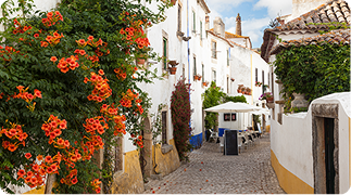 Vila medieval de Óbidos cercada por muralhas históricas em Portugal